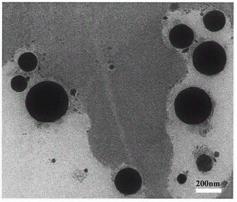 Pradaxa-containing microemulsion preparation