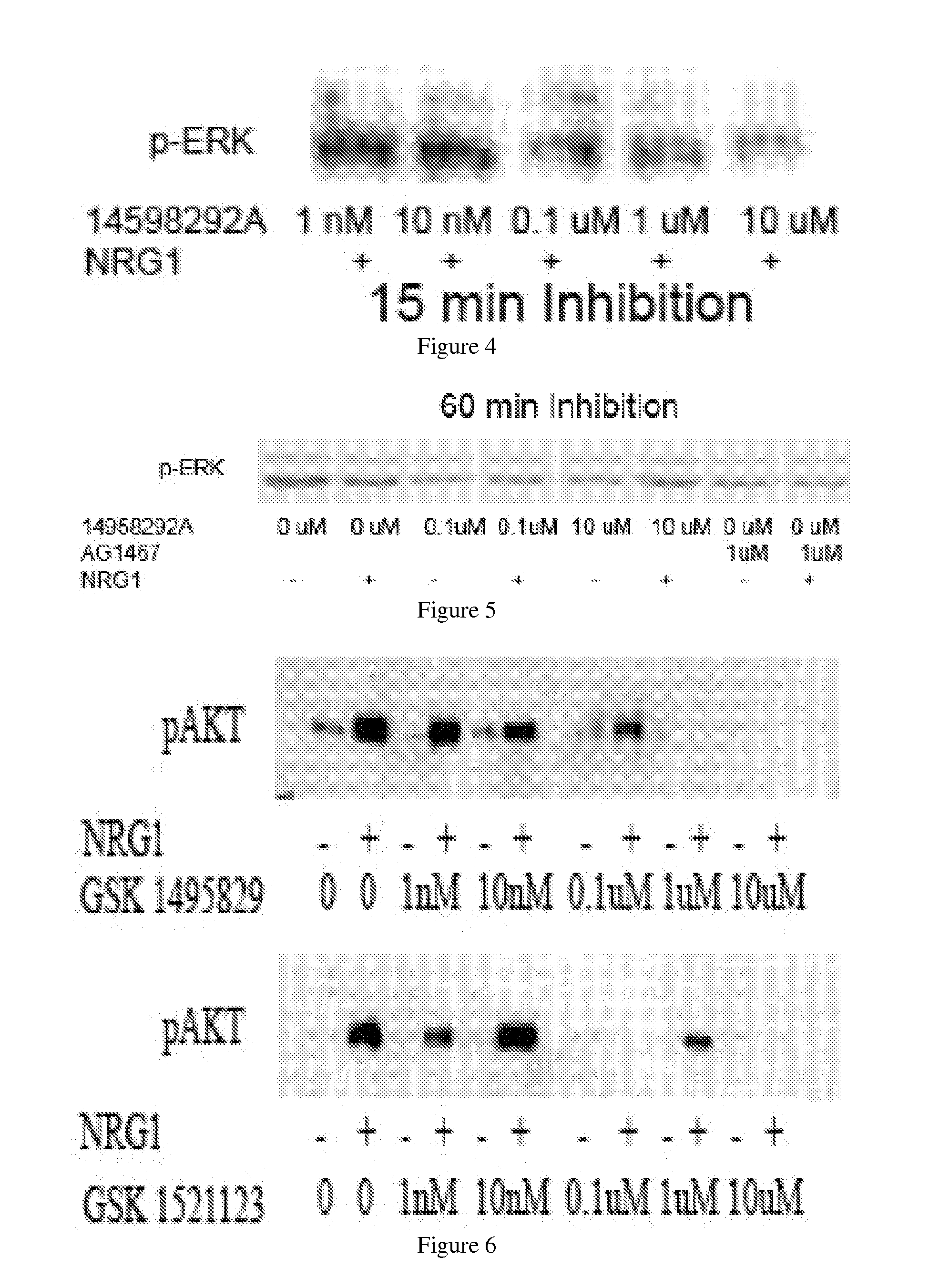 Erbb4 inhibitors and uses thereof in treatment of neuropsychiatric disorders