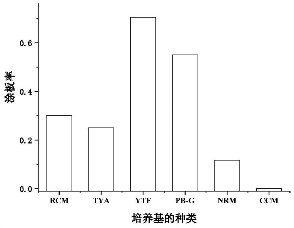 A kind of optimized culture method and application of methylbutyric acid bacteria