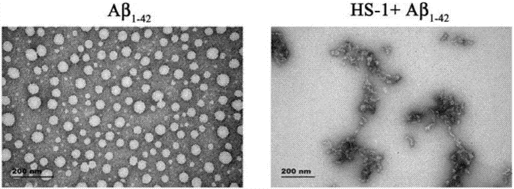 Cyclopentenone compound, preparation method and application thereof