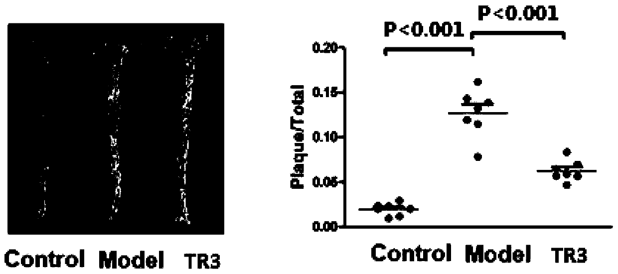 Tetrahydroindoloquinazoline compounds and application thereof