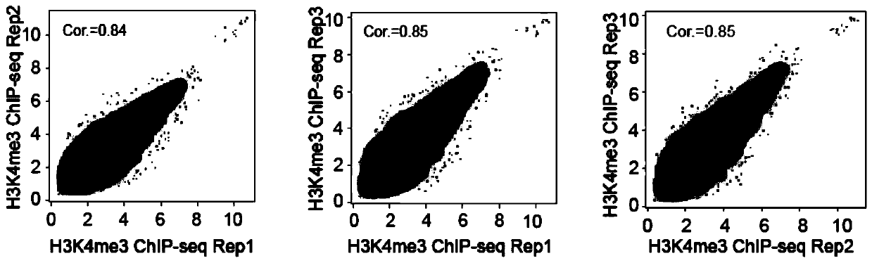 Method for preparing chromatin co-immunoprecipitation library by using trace of clinical puncture sample and application of method