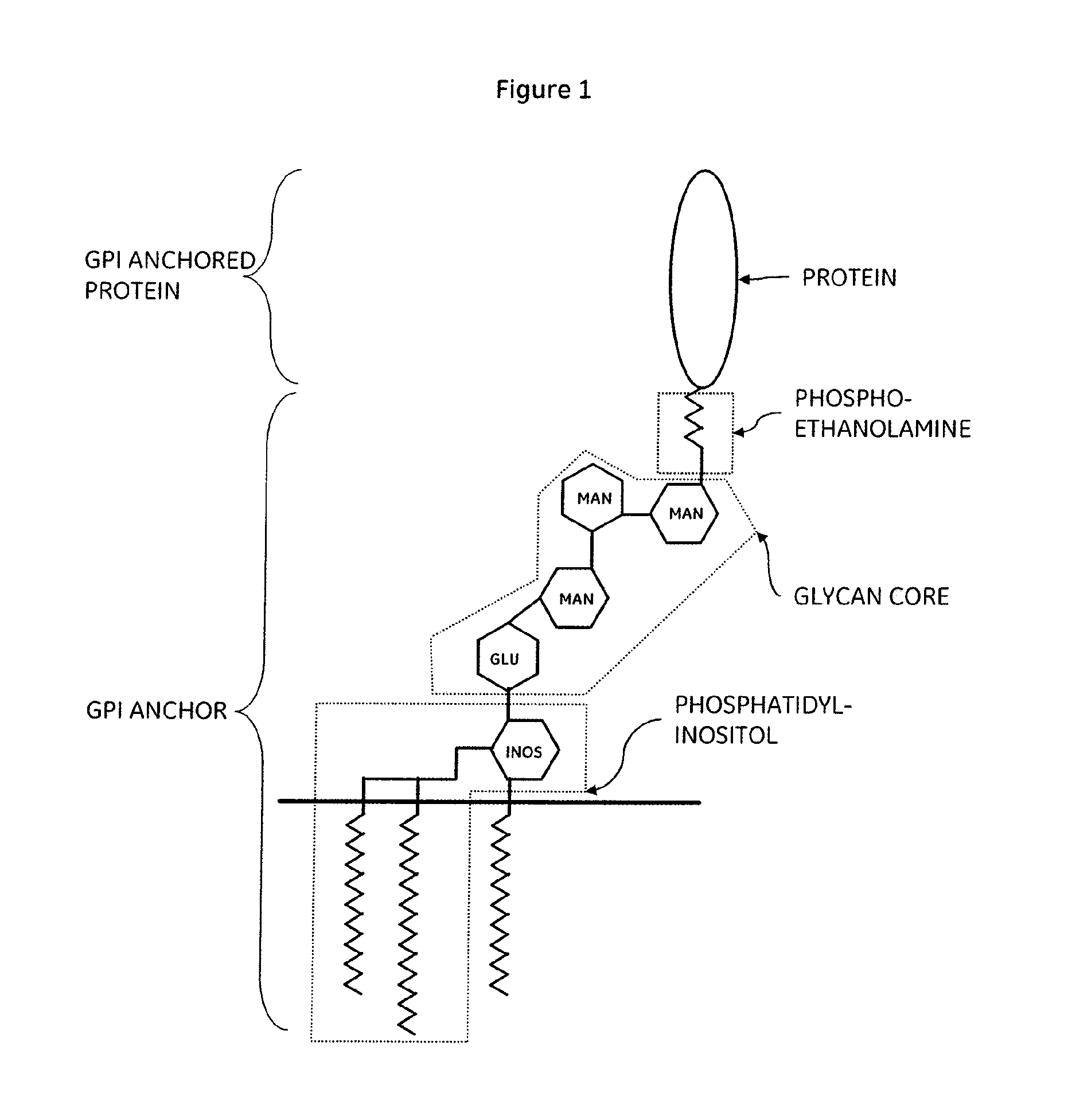 Methods of detecting DNA damage