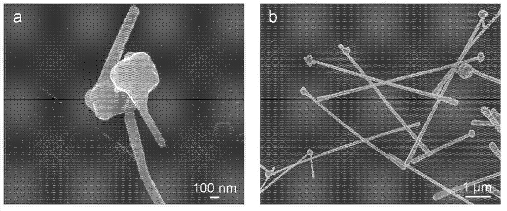 Compositions and methods for growing copper nanowires