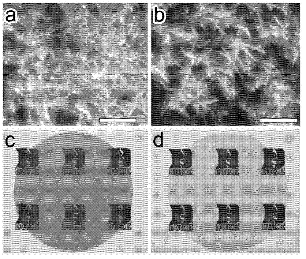 Compositions and methods for growing copper nanowires