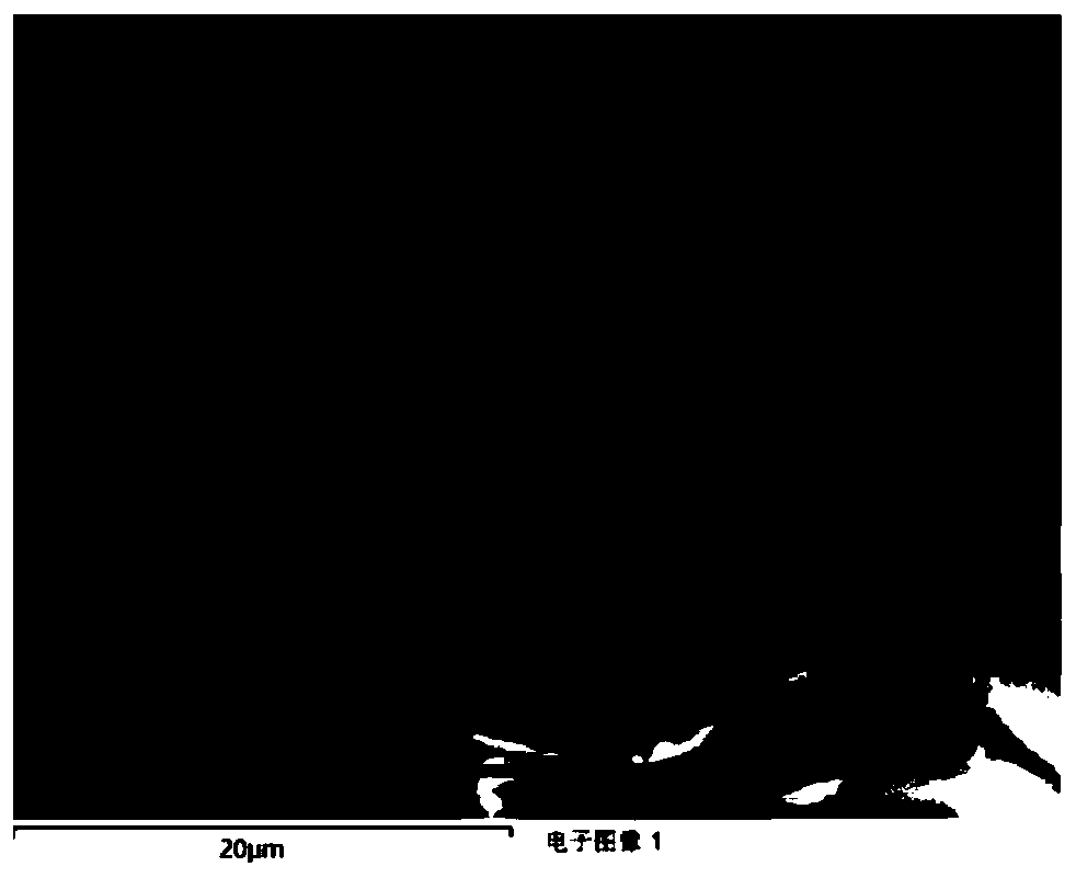 Nylon fiber with low surface frictional coefficient and improved hydrophobicity and preparation method thereof