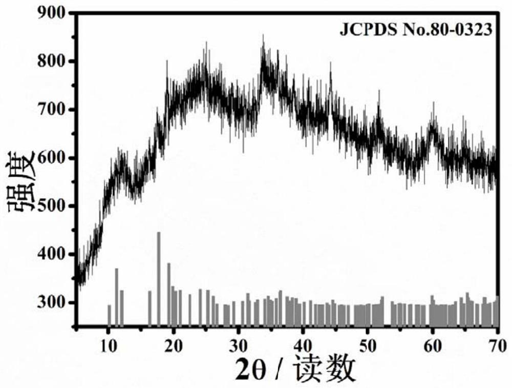 Boron quantum dot as well as preparation method and application thereof