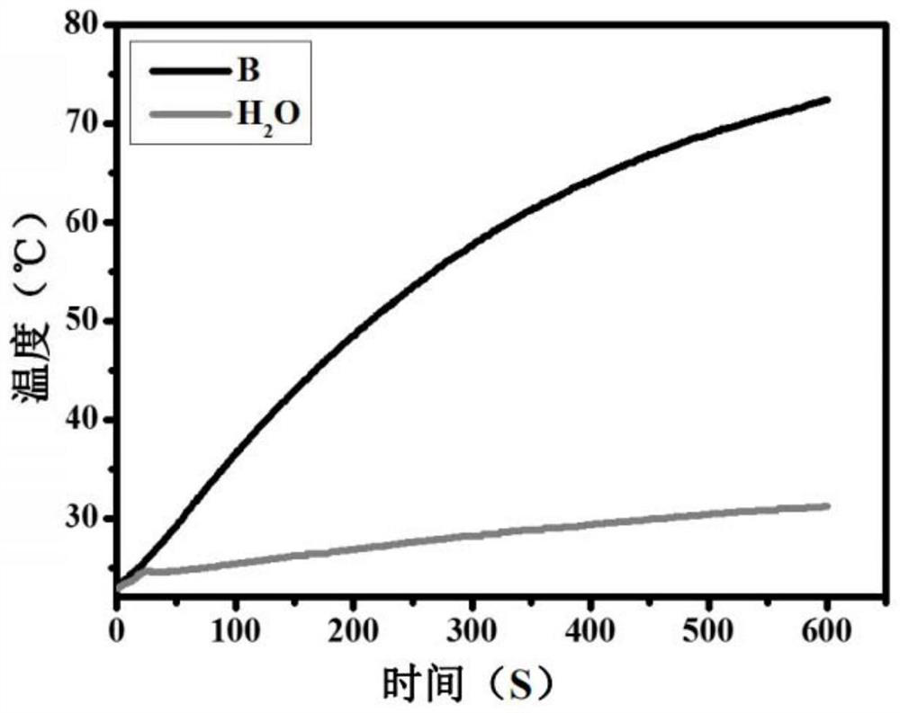 Boron quantum dot as well as preparation method and application thereof