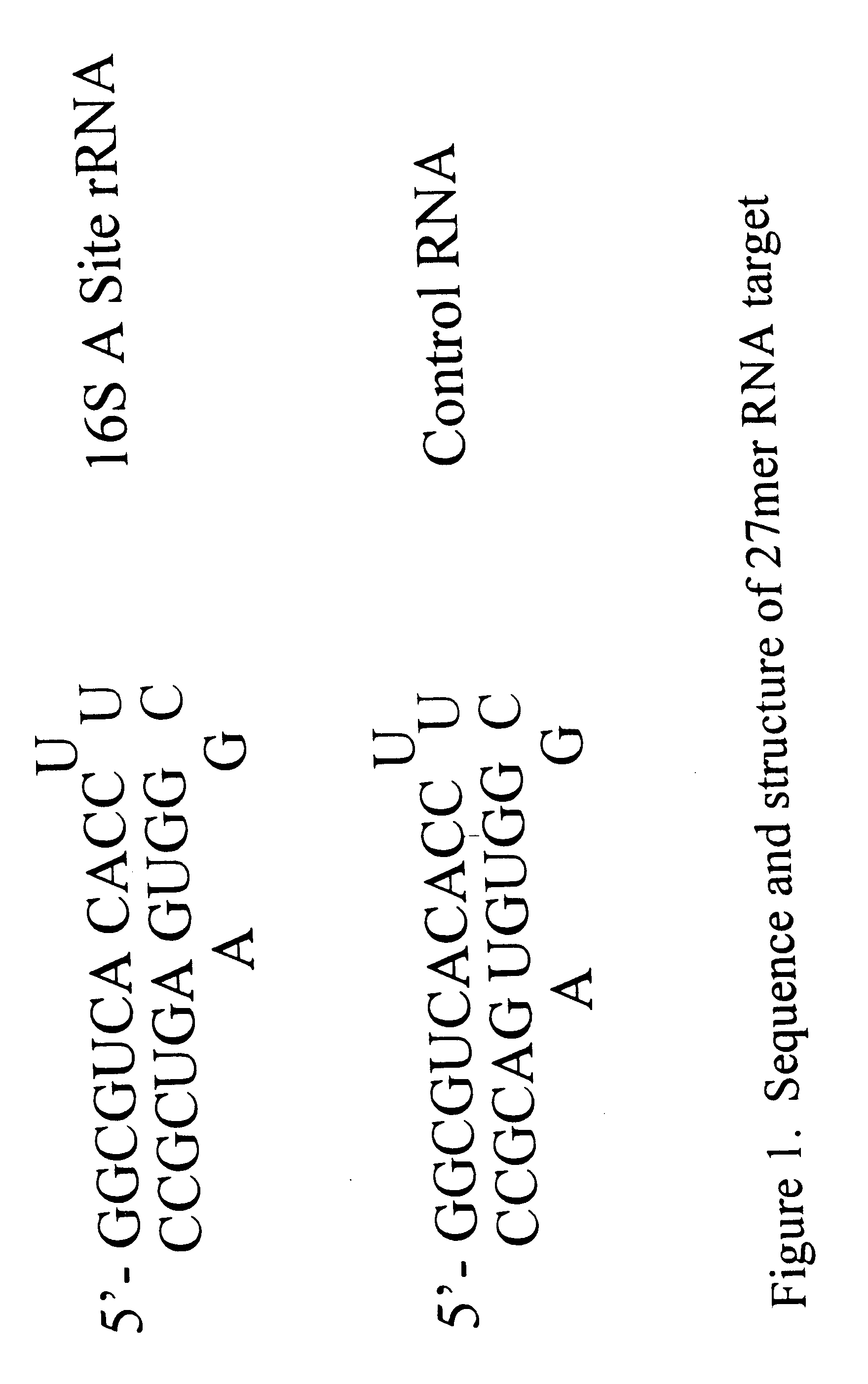 Mass spectrometric methods for biomolecular screening