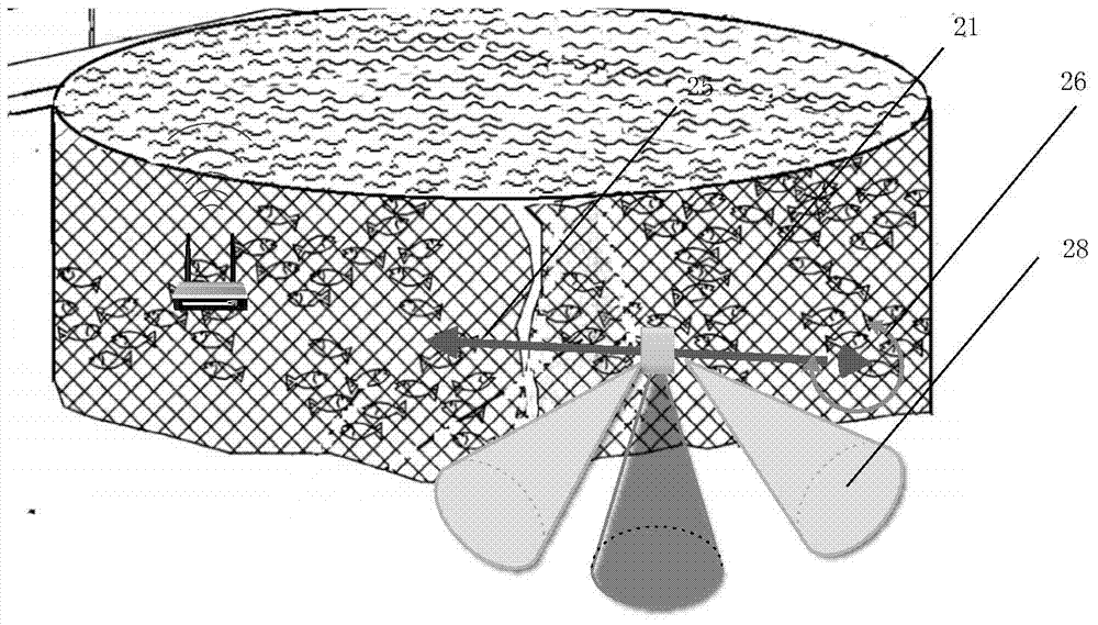 Cage culture biomass monitoring acoustic system and method