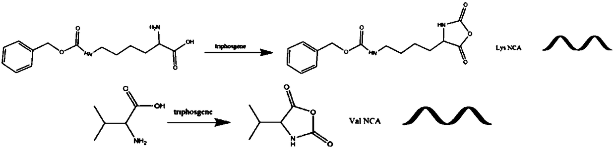 Preparation method of chitosan-g-antibacterial peptide polymer