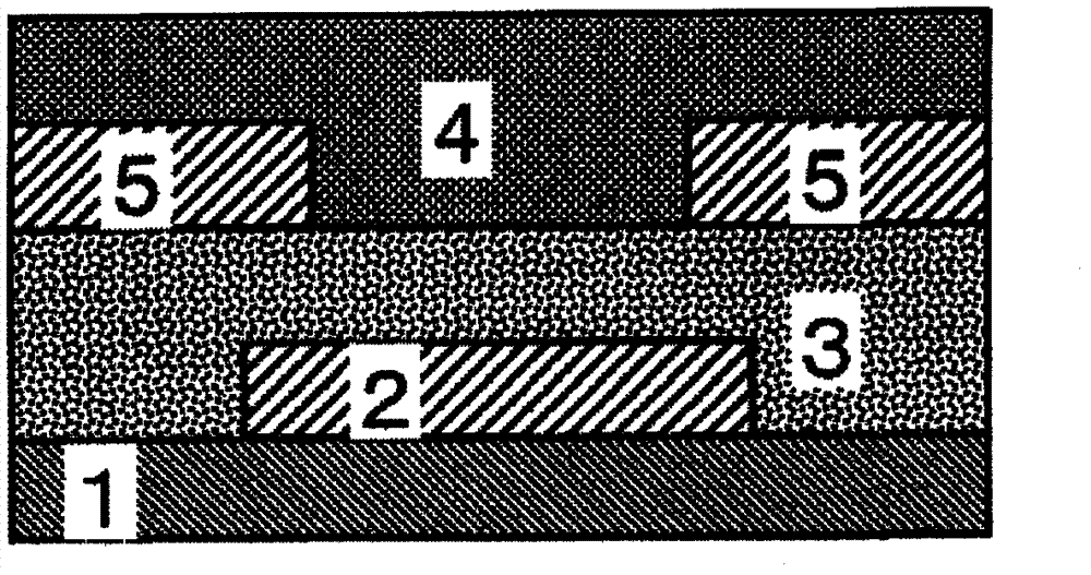 Organic transistor and method for manufacturing the same