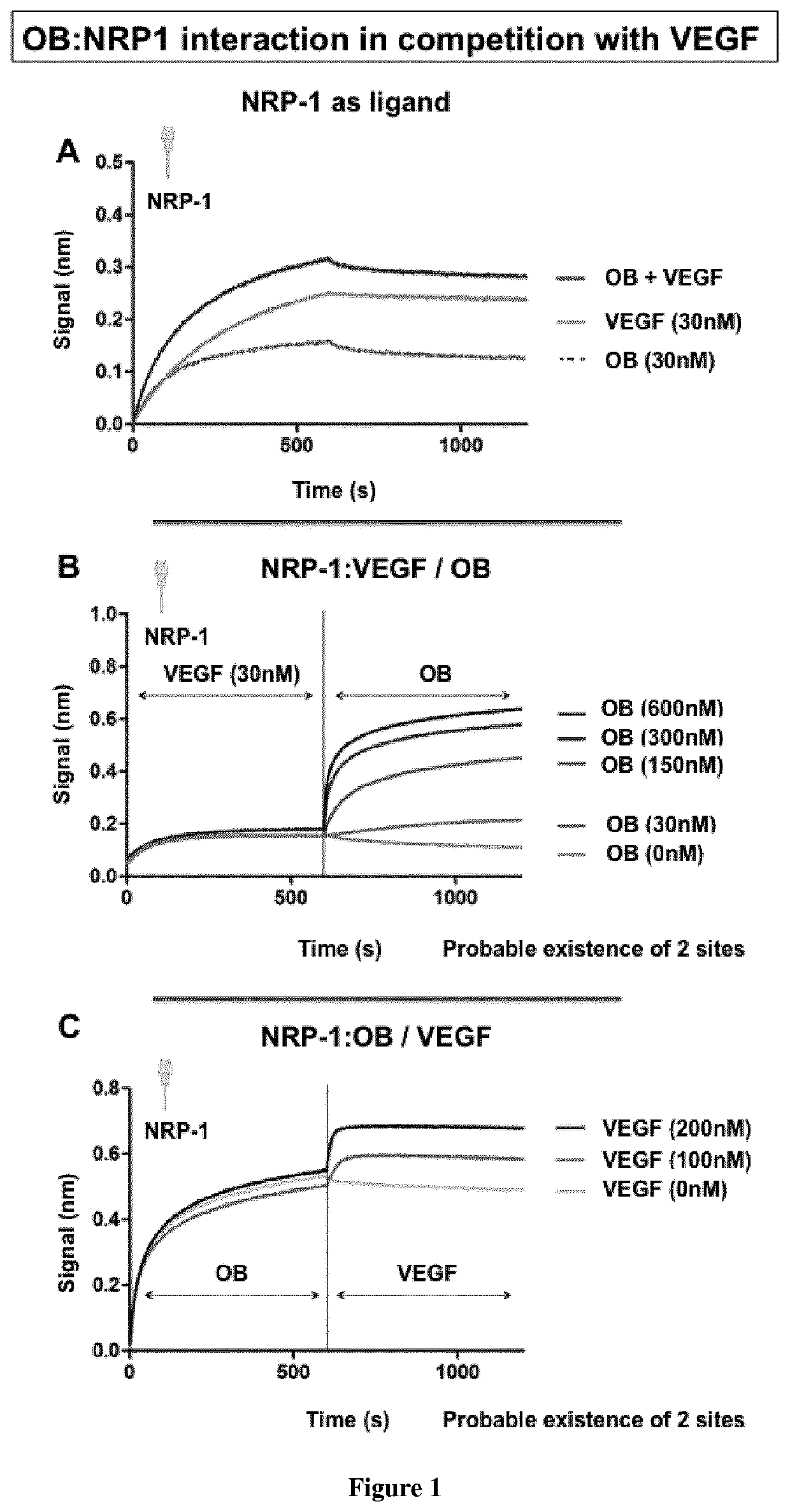 Polypeptides capable of inhibiting the binding between leptin and Neuropilin-1