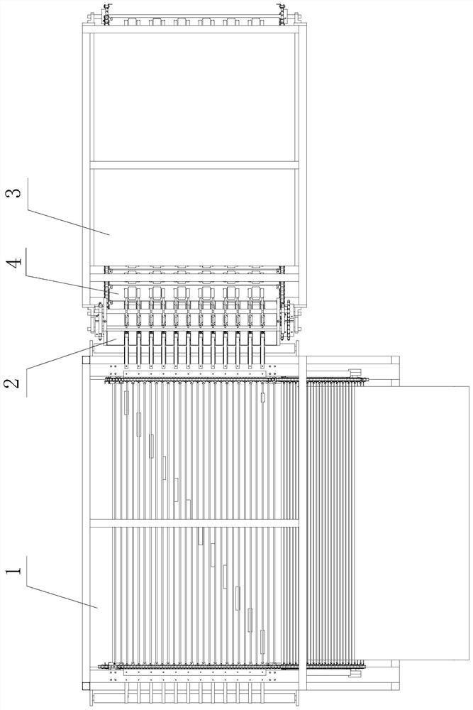 Automatic betel nut seed selecting machine