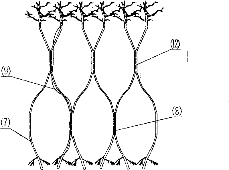 Construction method of tree aggregate