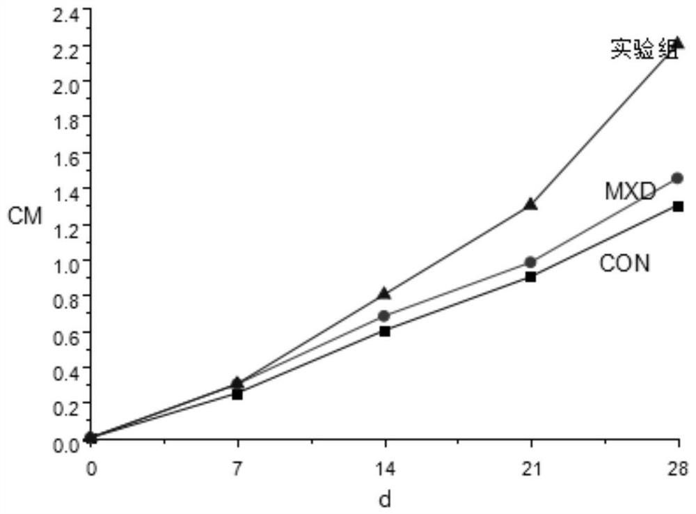 A hair growth agent containing spicules