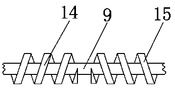 Two-start worm vacuum pump