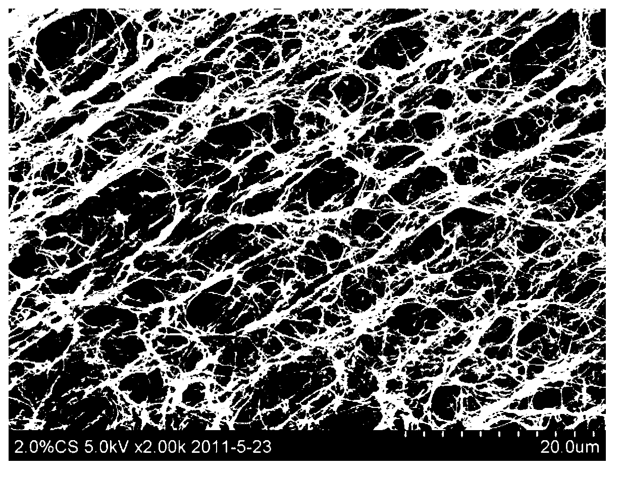 Bacterial cellulose membrane with gradient structure and preparation method thereof