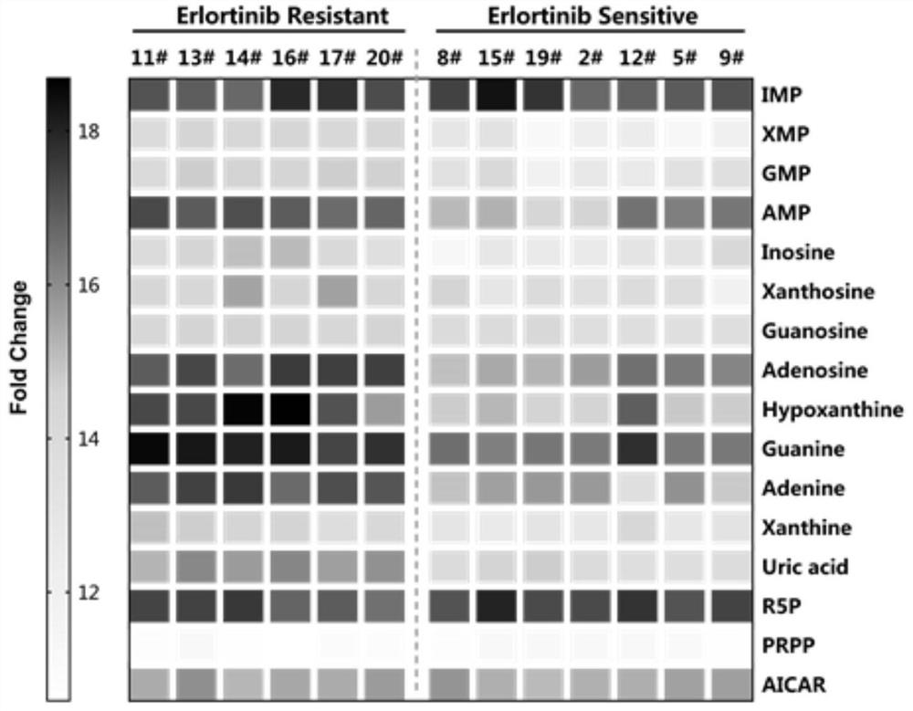 Application of purine metabolism marker in preparation of reagent for screening and diagnosing acquired drug resistance of lung cancer molecular targeted drug