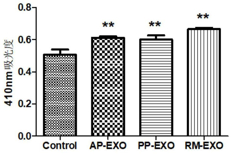 Preparation method and application of pilose antler stem cell exosome for resisting skin aging