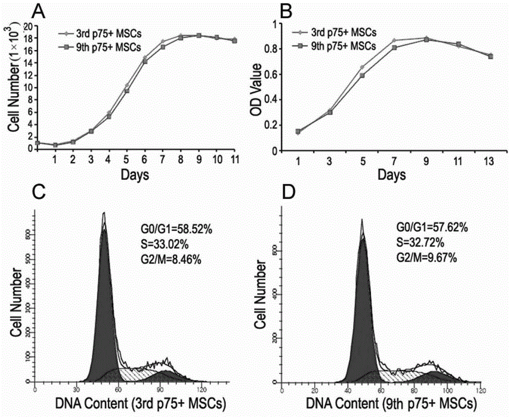 Cultural method of crest-derived stem cell of cranial nerve and identification method