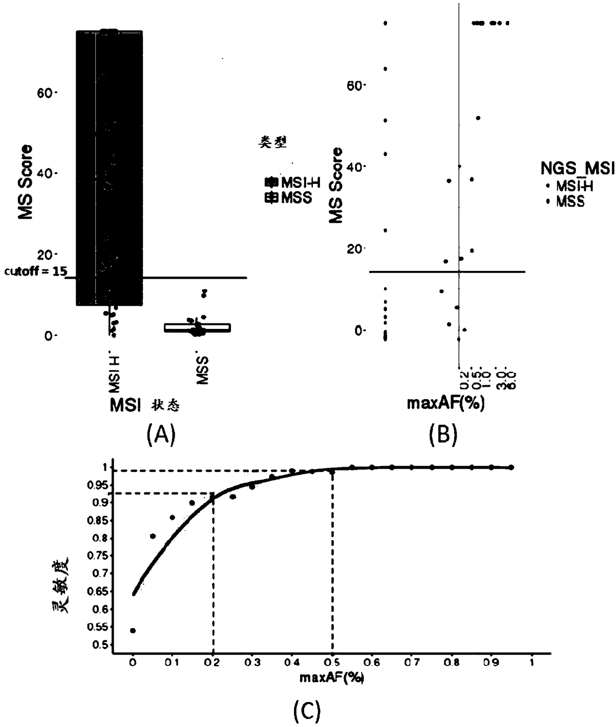 Microsatellite biomarker combination, detection kit and use thereof