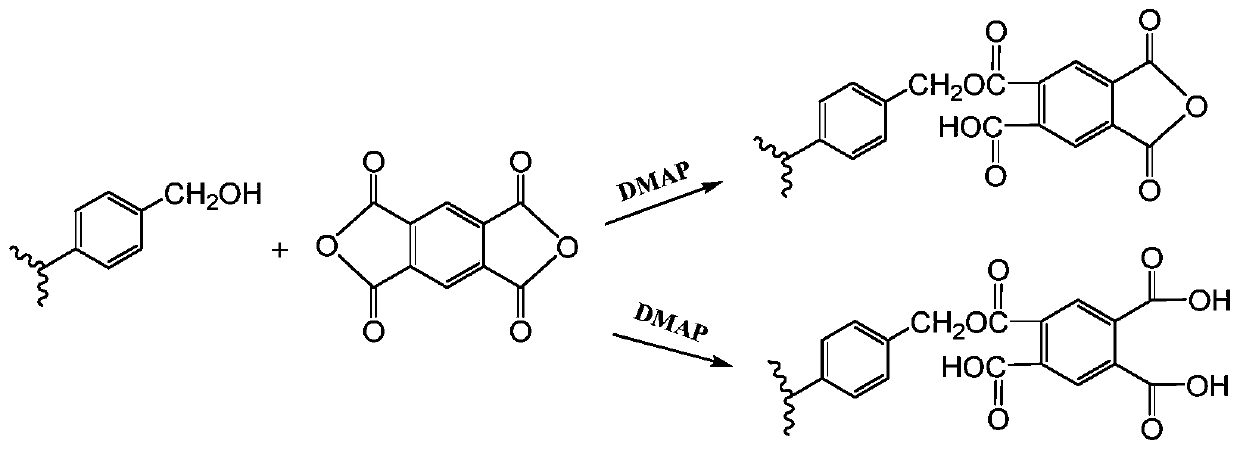 Immunoadsorbent, preparation method thereof and adsorber for blood perfusion