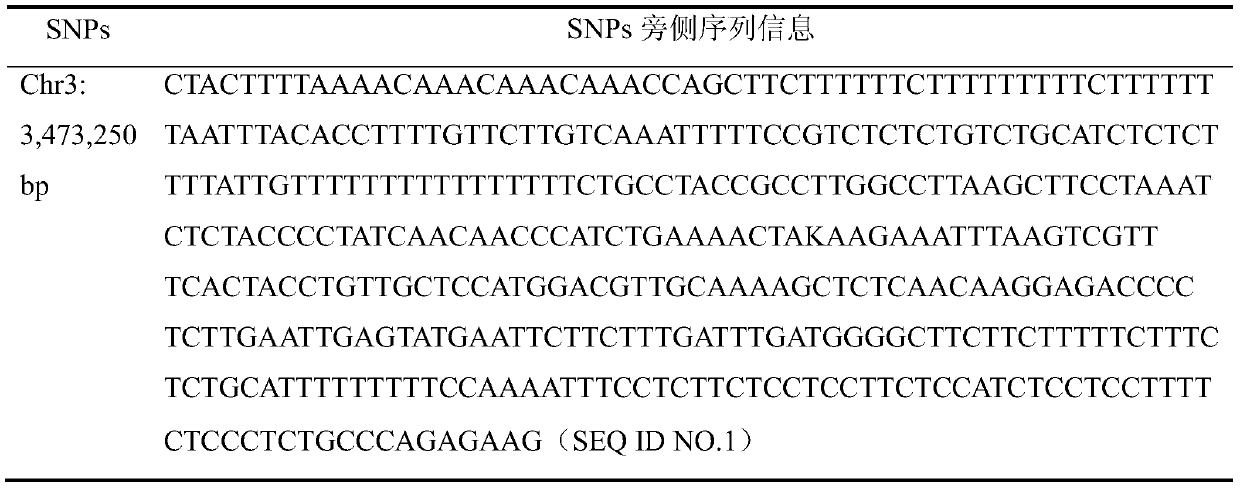 Single nucleotide polymorphism marker sites, primers, kits and applications for identifying peach fruit skin coloring traits