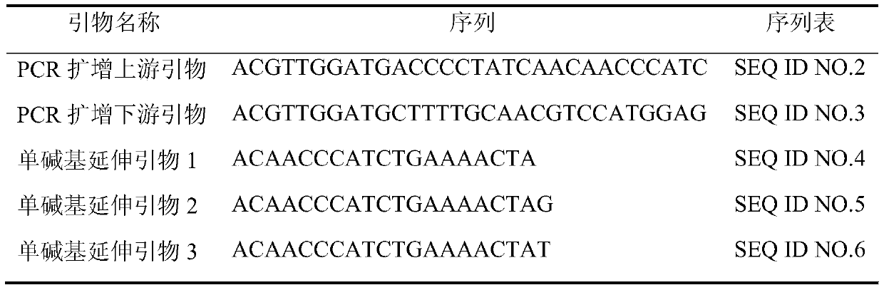 Single nucleotide polymorphism marker sites, primers, kits and applications for identifying peach fruit skin coloring traits