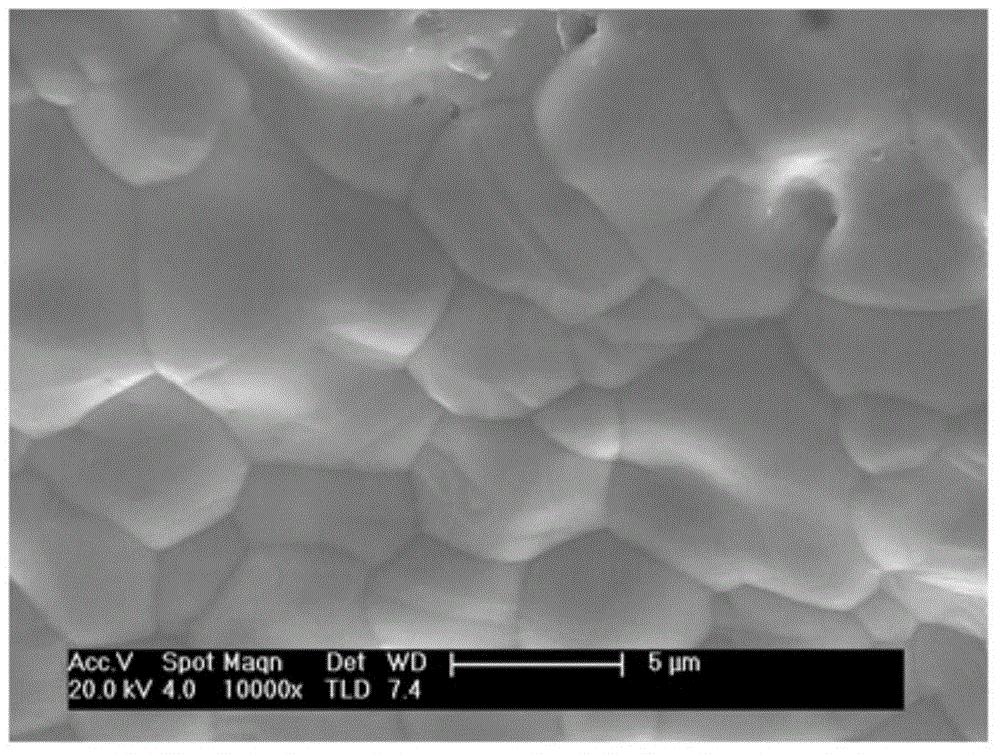 Preparation method of durable super-hydrophobic super-oleophylic foamy copper for oil and water separation