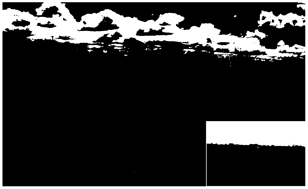 Directional transformation and productivity matching restoration method for desertification grassland