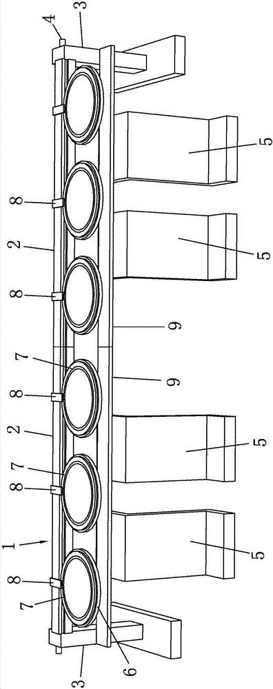 Planting method for cane shoots