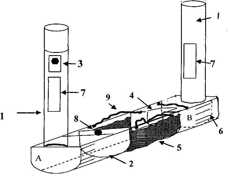 Adjustable scalding frame for producing scalding model