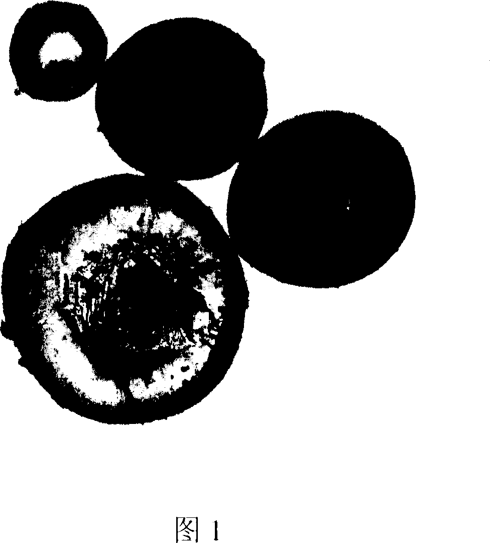 Glycopeptide conjugate microsphere or microcapsule and its prepn process