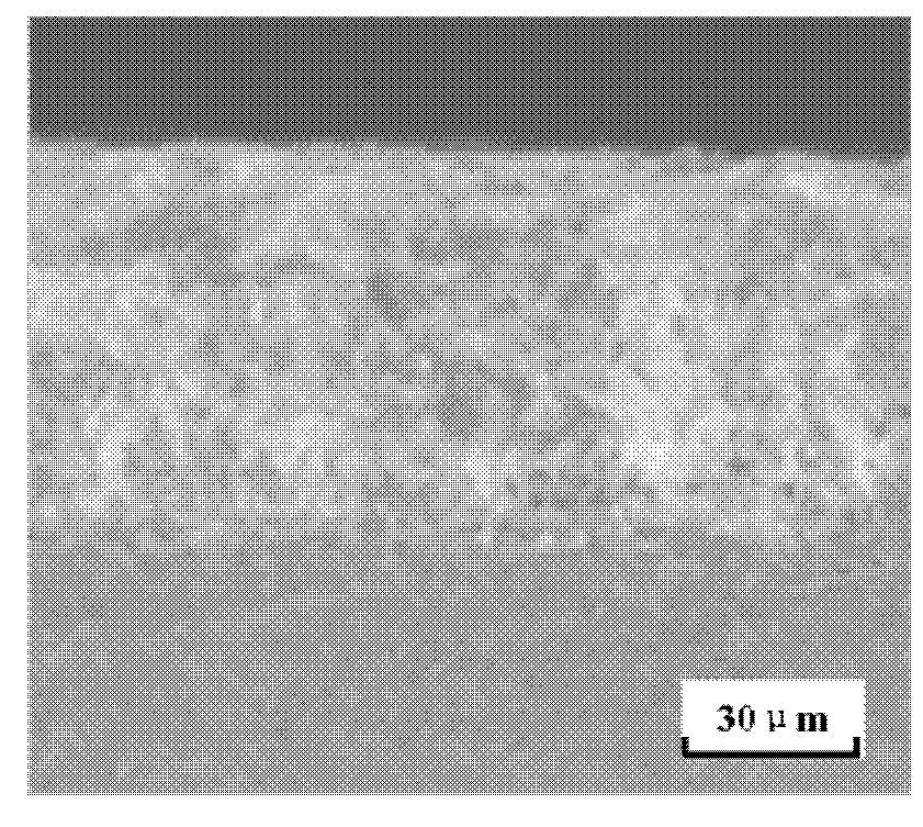 AM60 magnesium alloy surface heavy-layer treatment method