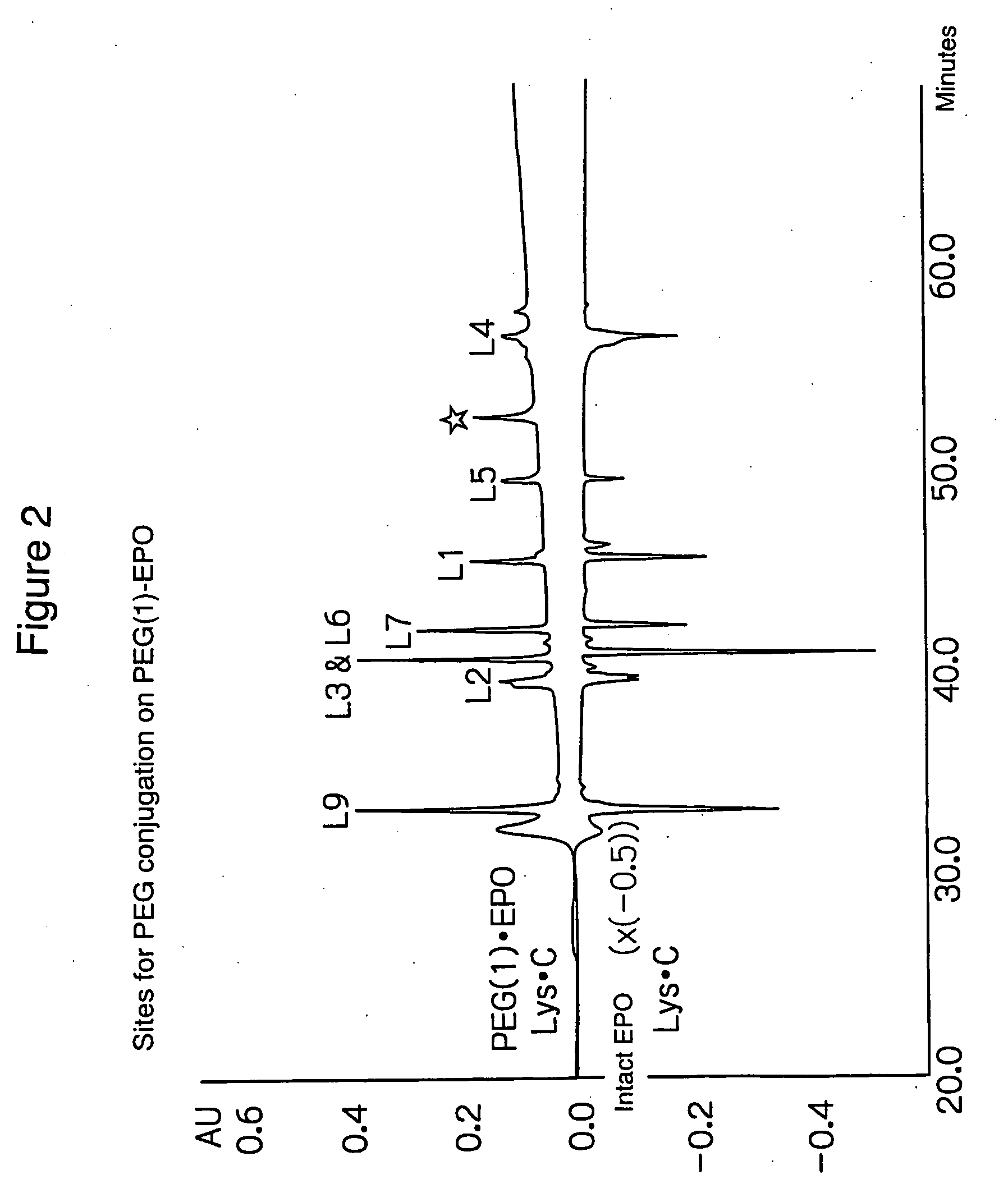 PEG-conjugated erythropoietin