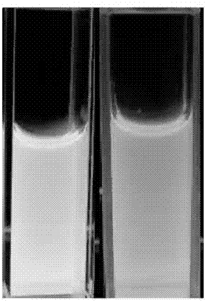 Fluorescent colorimetric chemical-sensitive material as well as synthesis method and application thereof