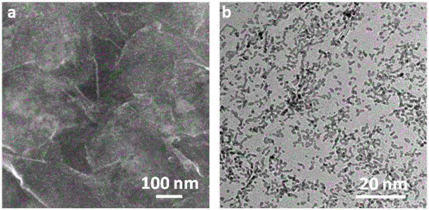 Small-molecular alcohol oxidation electro-catalysis material and preparation method and application therefor