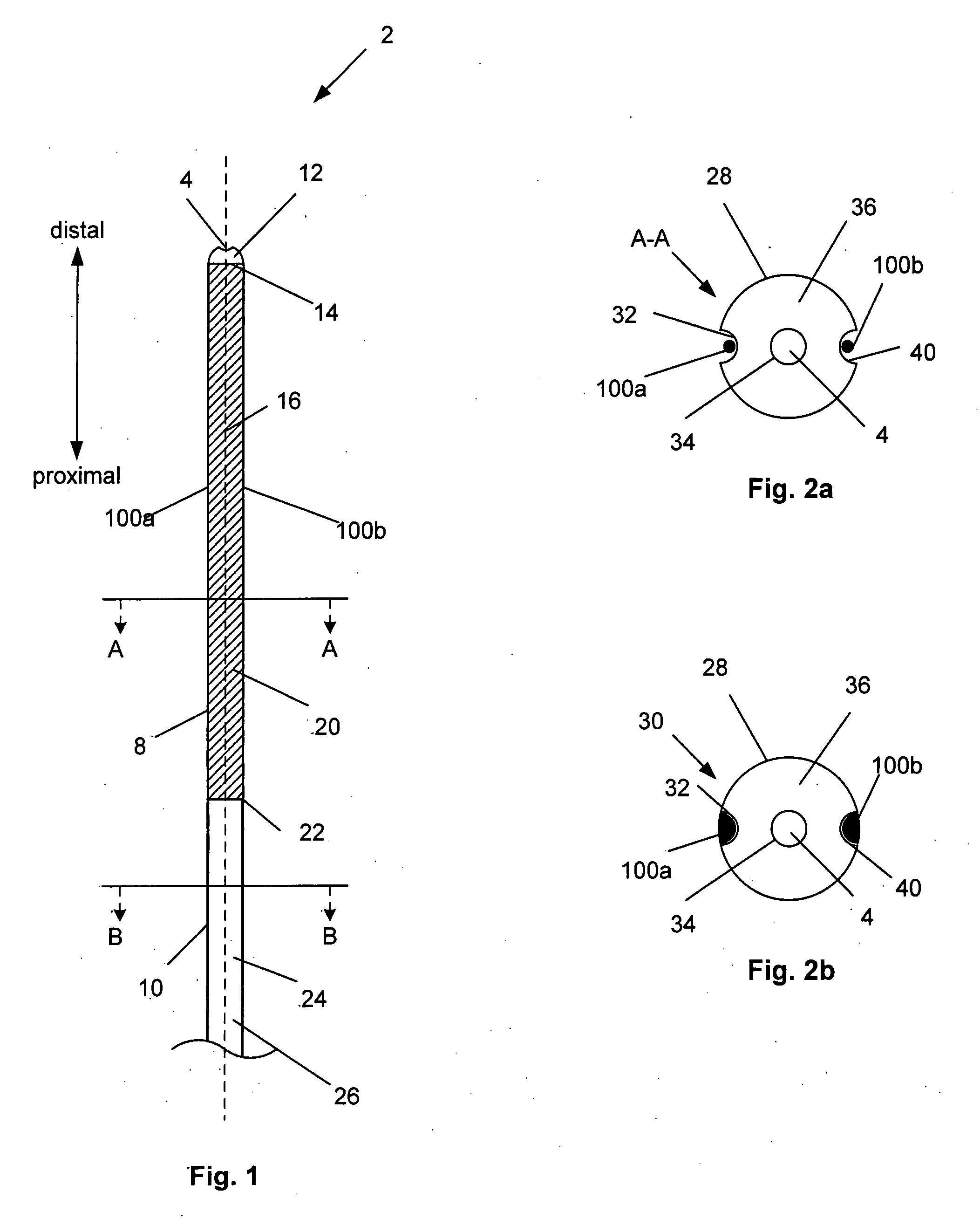 Anatomical measurement tool