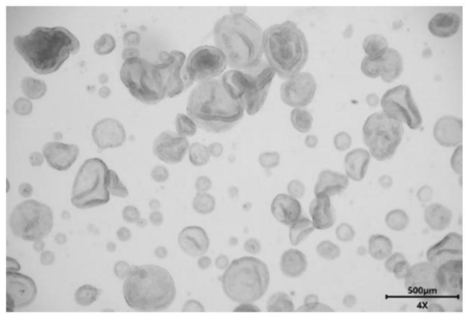 A kind of endometrial organoid culture medium and culture method