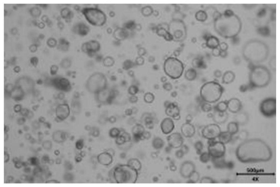 A kind of endometrial organoid culture medium and culture method