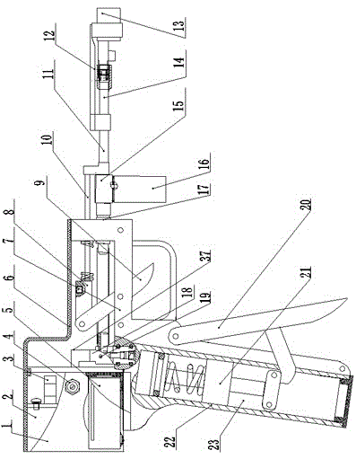 Haemorrhoids loop ligature device