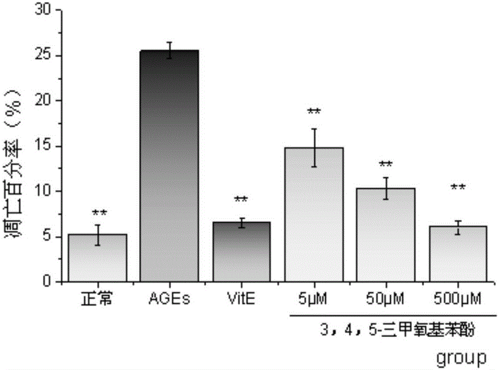 Application of 3,4,5-trimethoxy phenol in preparation of drugs for preventing and treating diabetic nephropathy