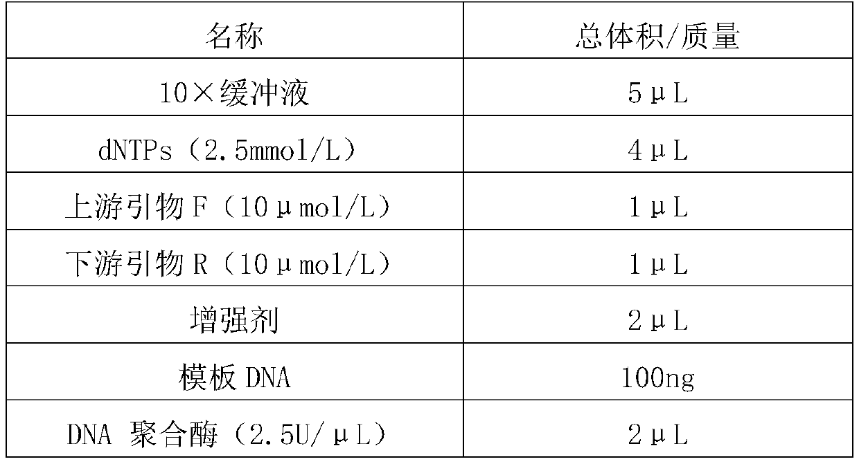 Rapid PCR amplification kit as well as application method thereof