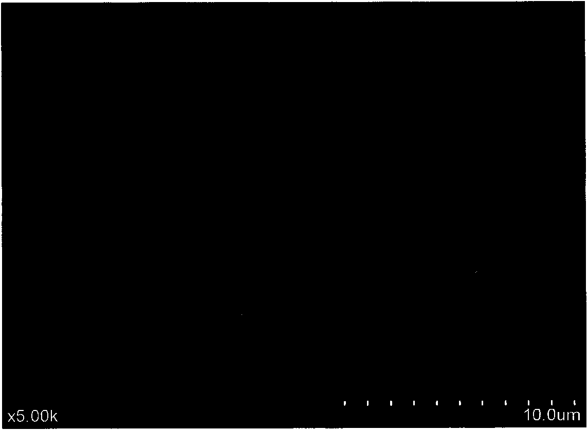 Novel green processing method for increasing resistant starch content through crosslinking of starch and chitosan