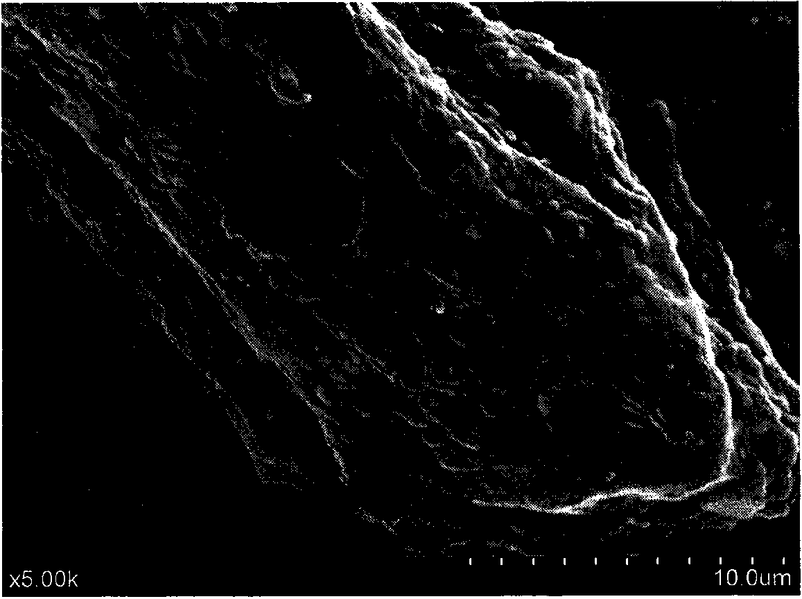 Novel green processing method for increasing resistant starch content through crosslinking of starch and chitosan