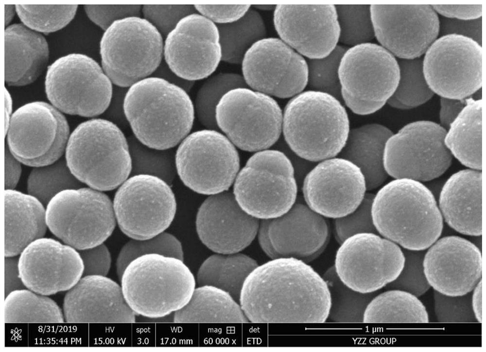 Snowman-shaped Janus particles and preparation method thereof