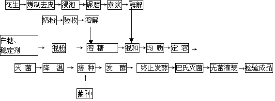 Preparation method of sterilization type compound protein enzymolysed and fermented dairy product