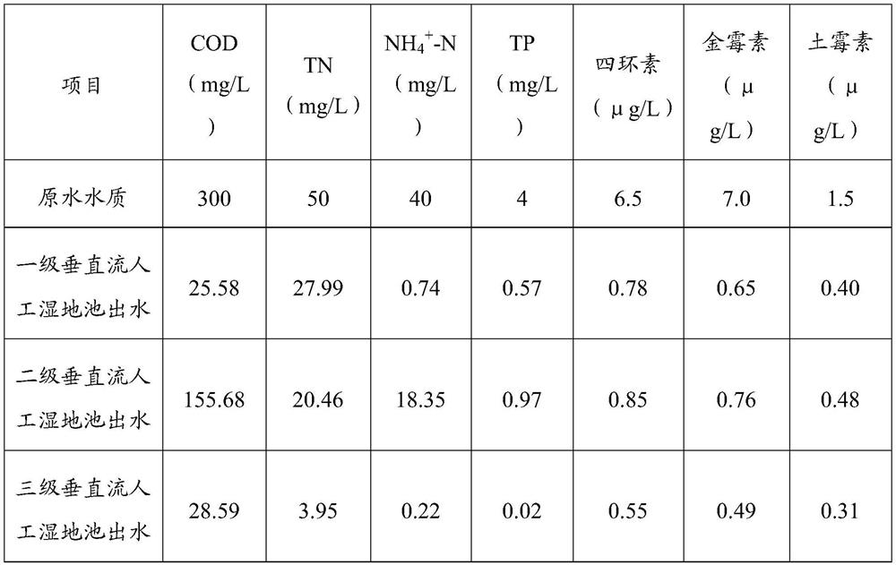 Vertical flow constructed wetland and method for treating nitrogen, phosphorus and tetracyclines in sewage