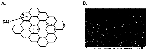 Nanowire array, optoelectronic device and manufacturing method thereof